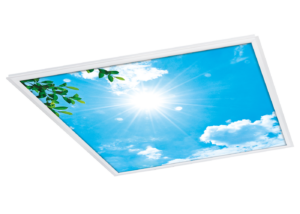 PICTURE Panel mit Standard-Motiv 1: Blauer Wolkenhimmel mit Sonne und Ast mit Blättern