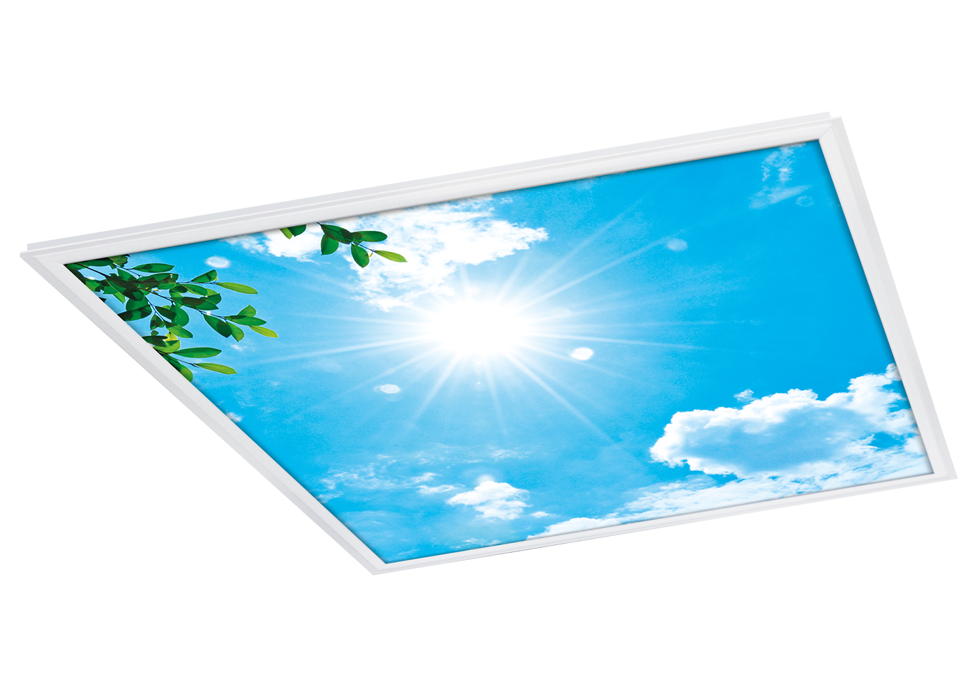 PICTURE Panel mit Standard-Motiv 1: Blauer Wolkenhimmel mit Sonne und Ast mit Blättern
