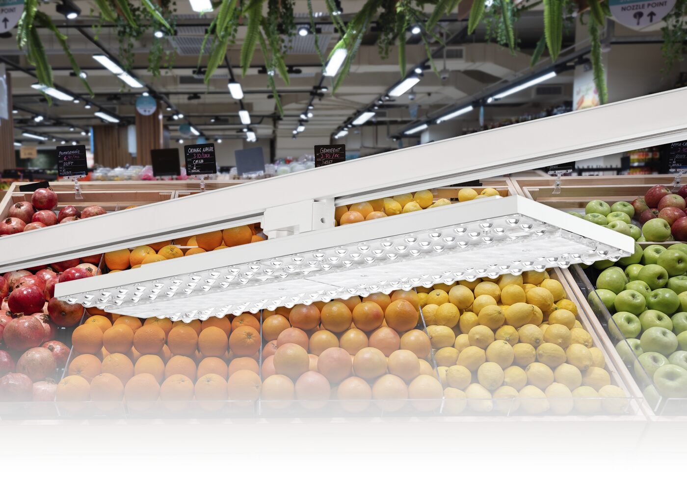 Obstregal im Einkaufsladen mit LED Trackpanel TABLO plus in weiß