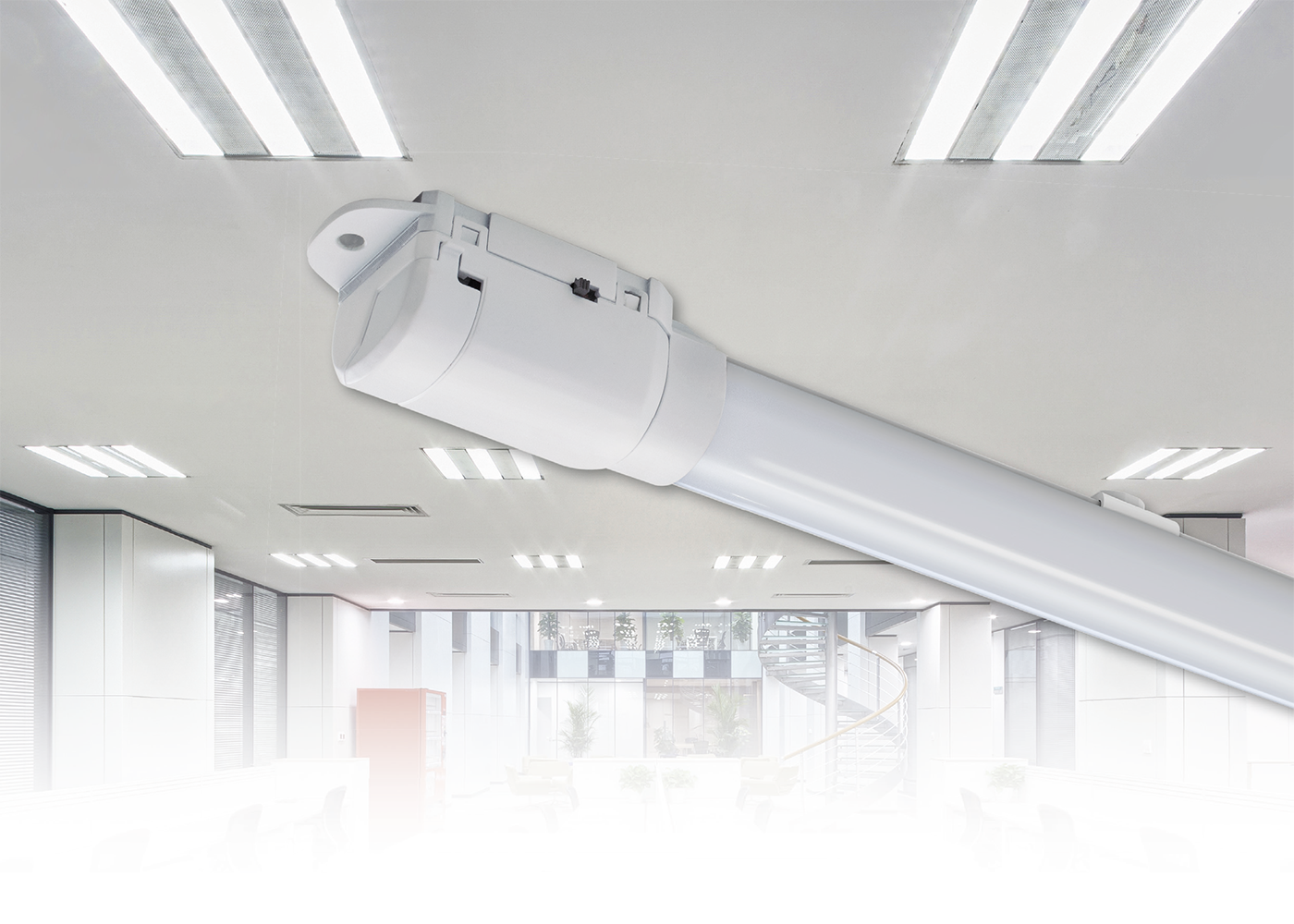 Anwendung Rastergehäuse im Büro mit LED Sanierungseinsatz TENEO AC