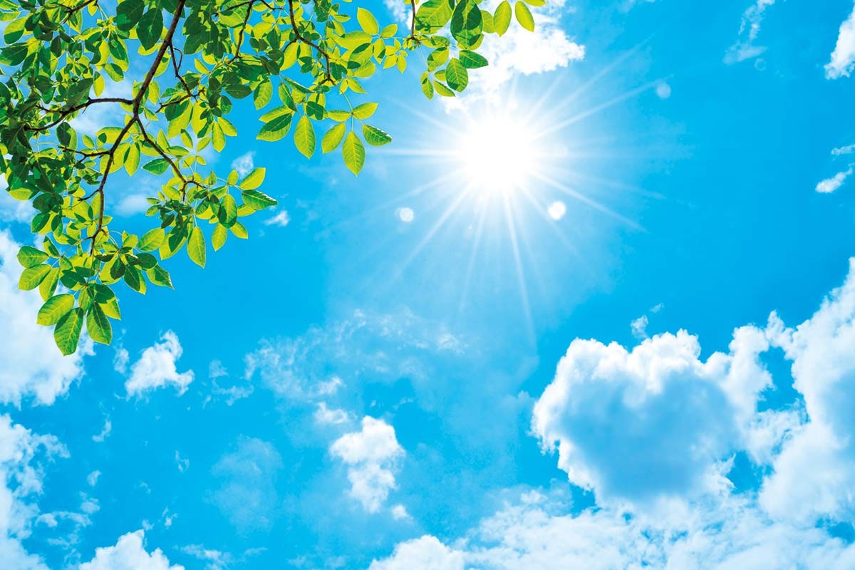 Standard-Motiv 1: Blauer Wolkenhimmel mit Sonne und Ast mit Blättern