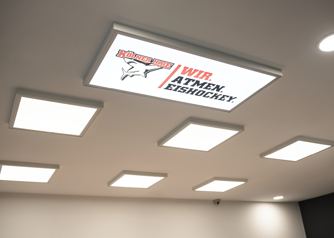 Rechteckiges LED PICTURE Panel mit Kölner Haie Logo Wir. Atmen. Eishockey.