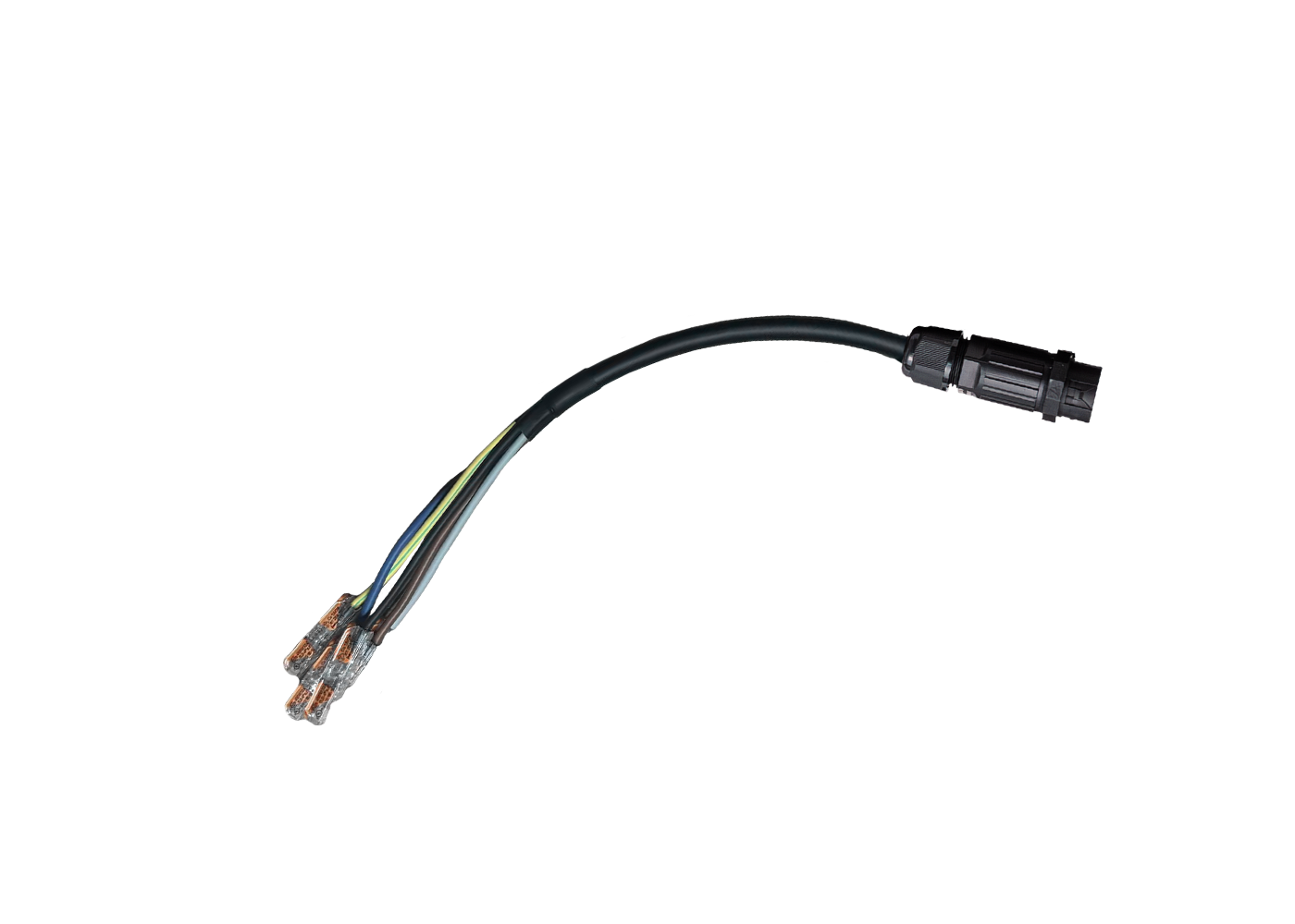 FLEXO IP Ausspeisung DALI