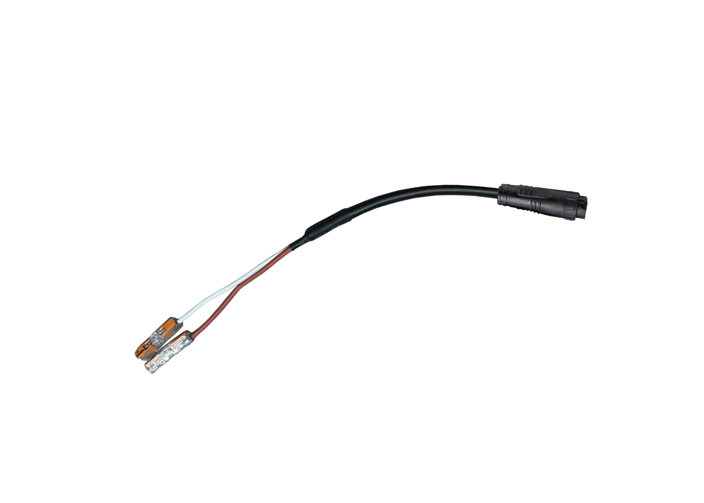 FLEXO IP Ausspeisung