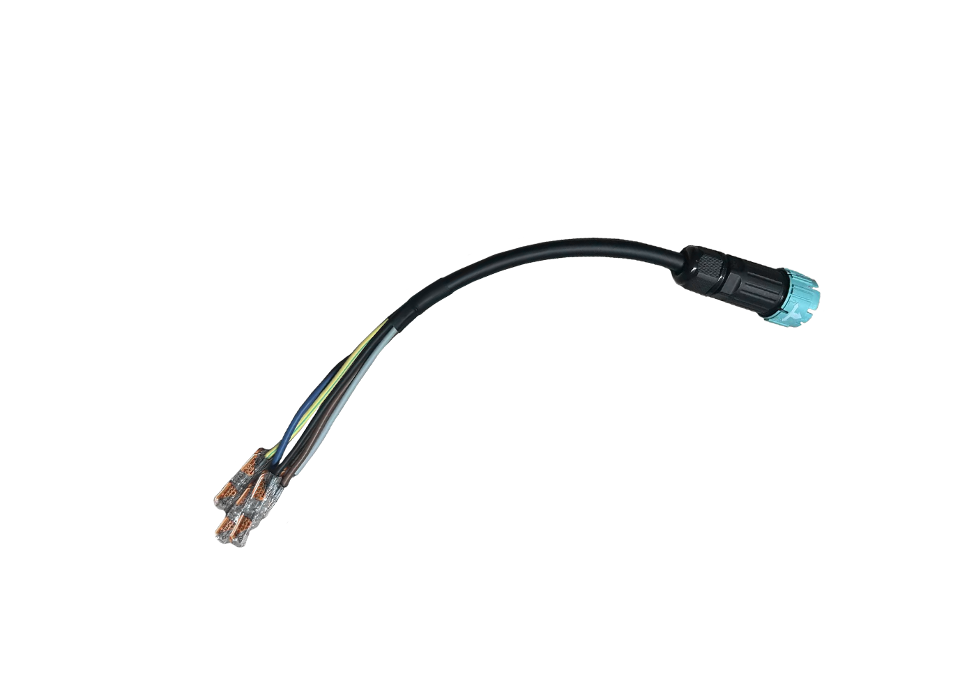 FLEXO IP Einspeisung DALI