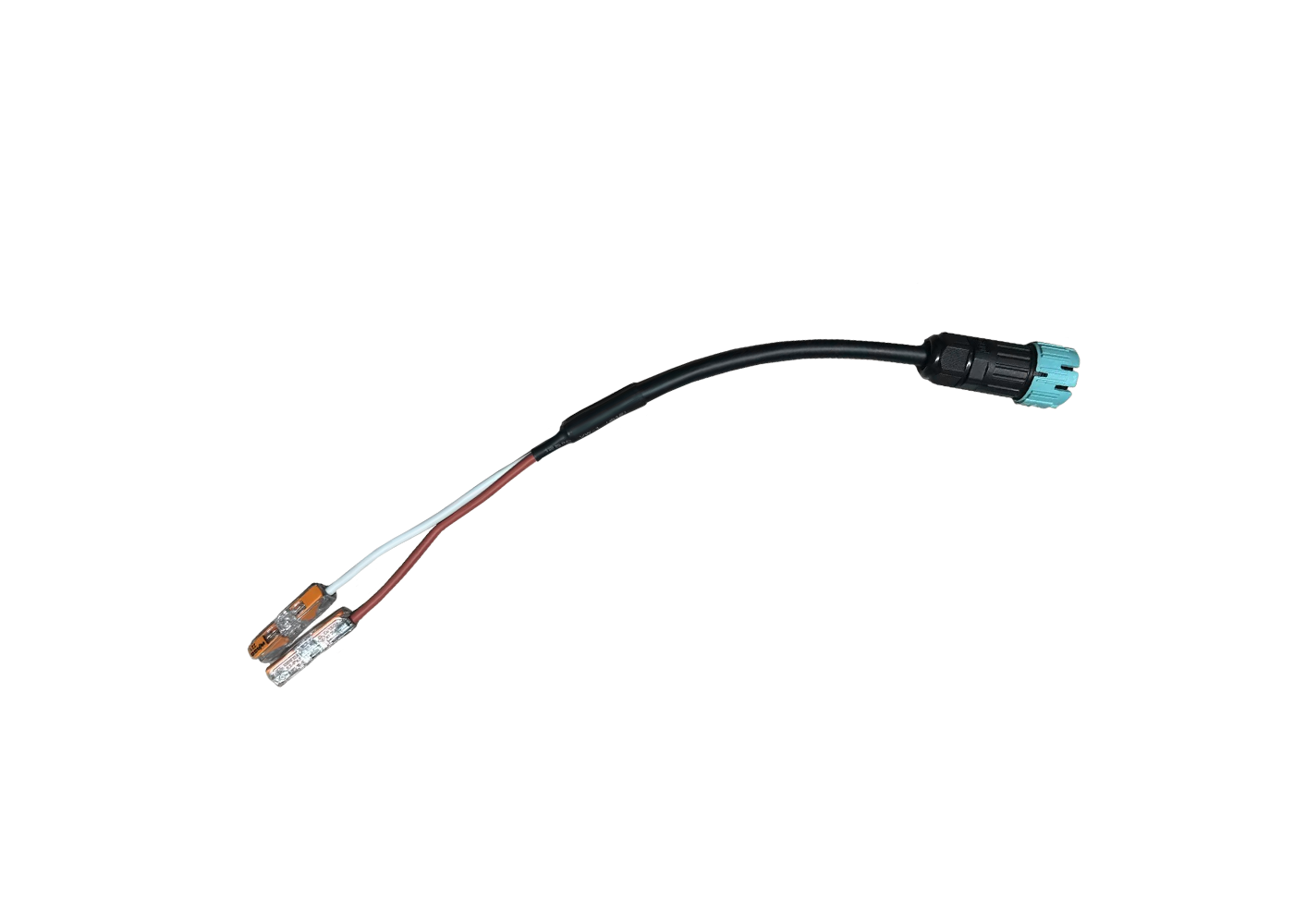 FLEXO IP Einspeisung